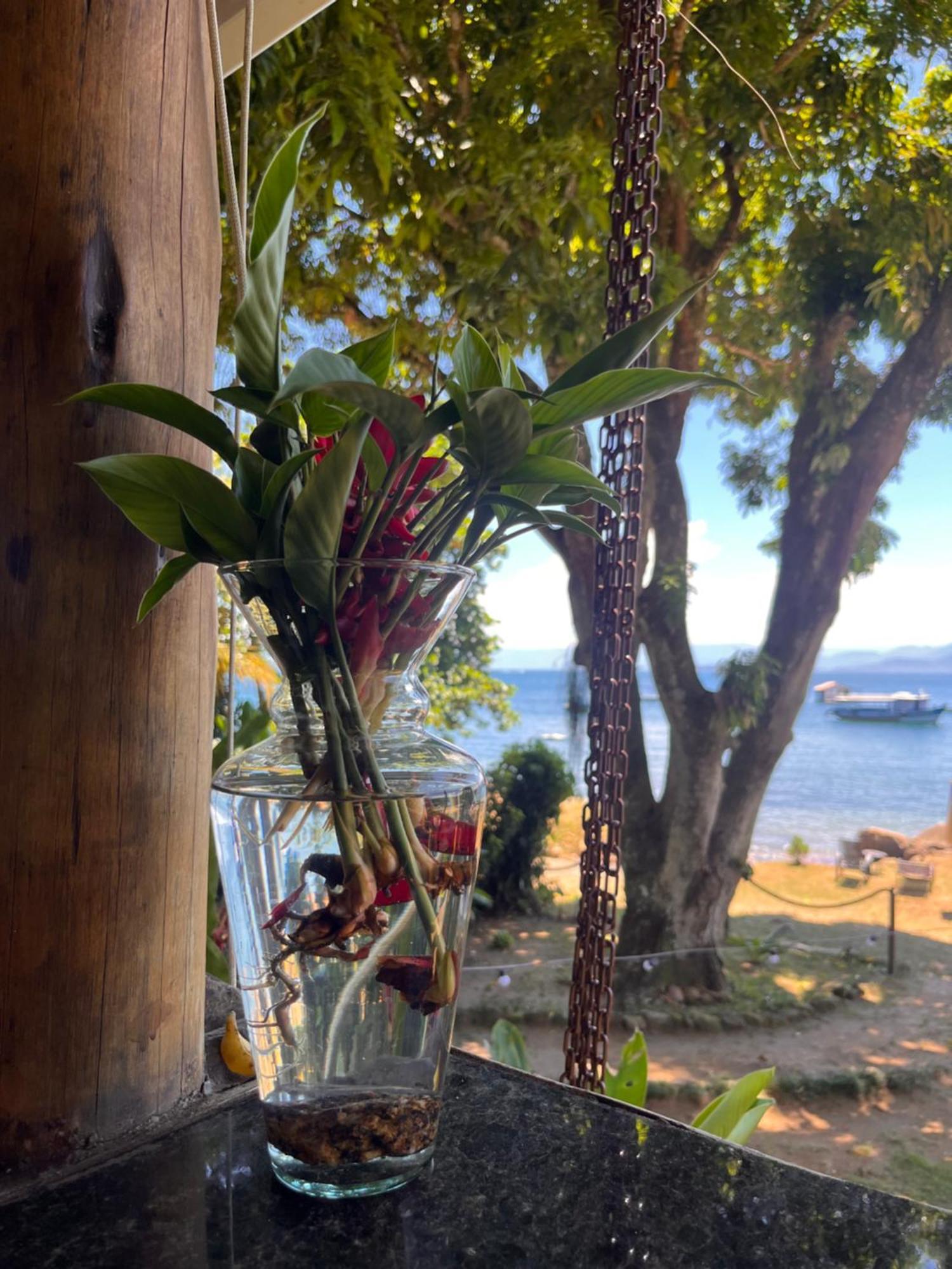 Fauna Praia do Bananal Exterior photo